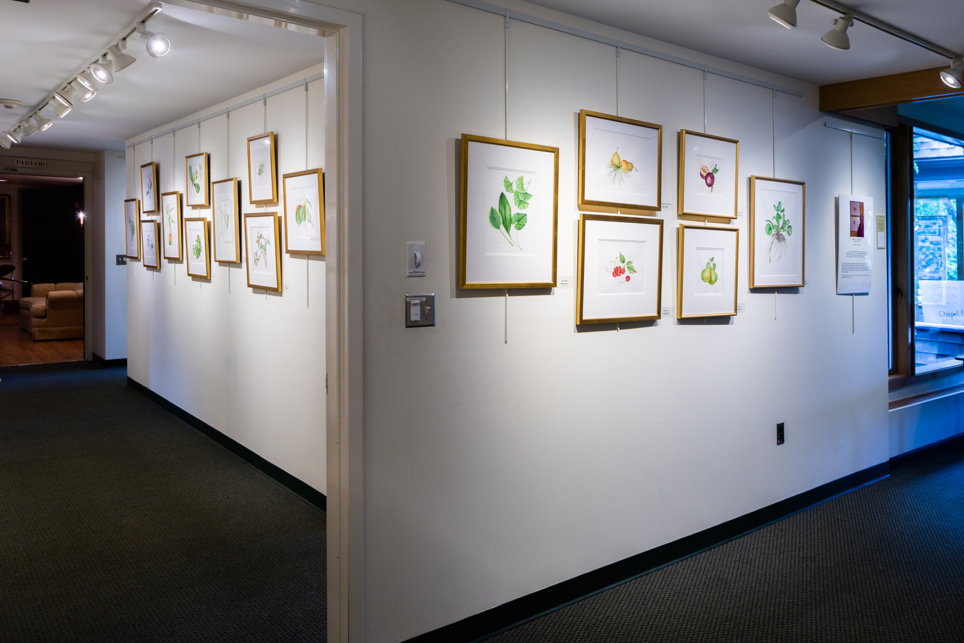 A wall displaying paintings